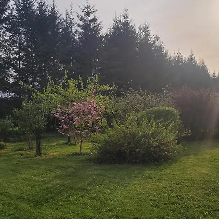 Сasa de vacaciones Dzikie Wino Budry