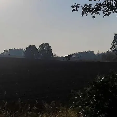 Dzikie Wino Сasa de vacaciones Budry